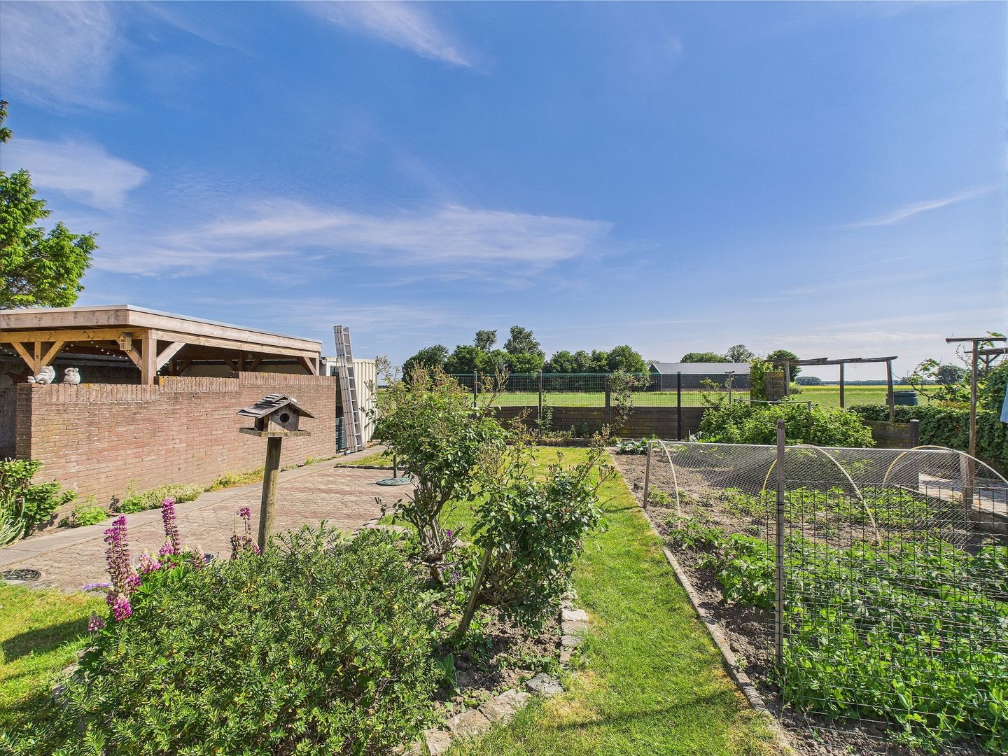 Foto 40 van Reuzenhoek 40