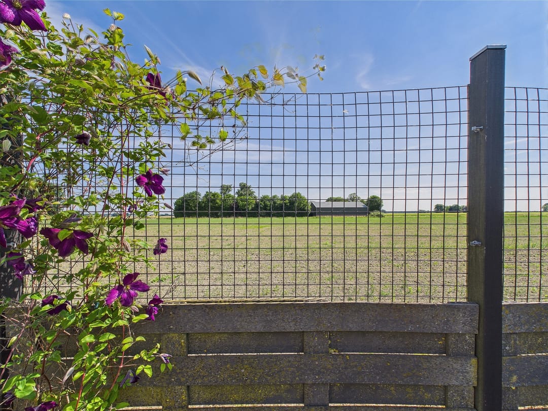 Foto 41 van Reuzenhoek 40