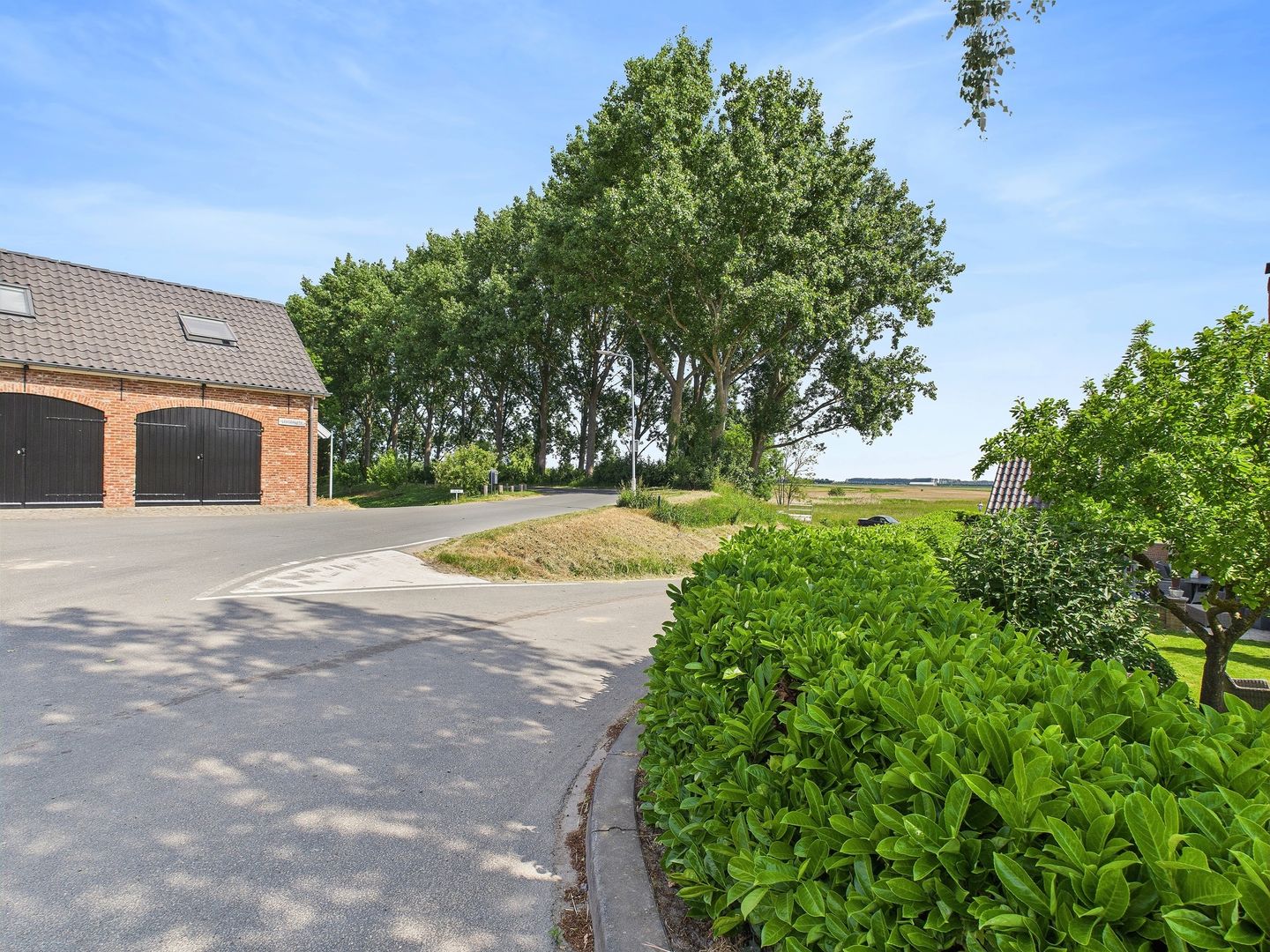 Foto 50 van Reuzenhoek 40