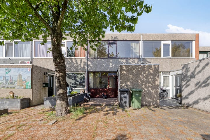 Foto 1 van Driedistel 11