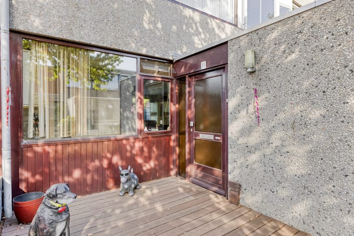 Foto 2 van Driedistel 11