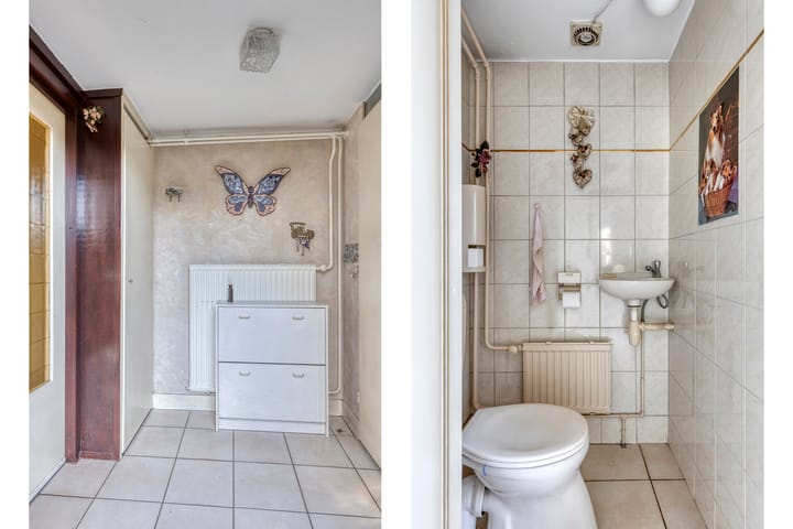 Foto 3 van Driedistel 11