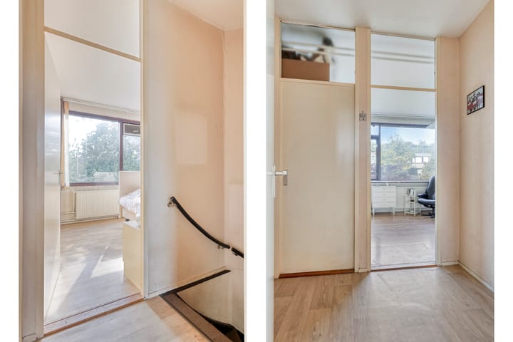 Foto 10 van Driedistel 11