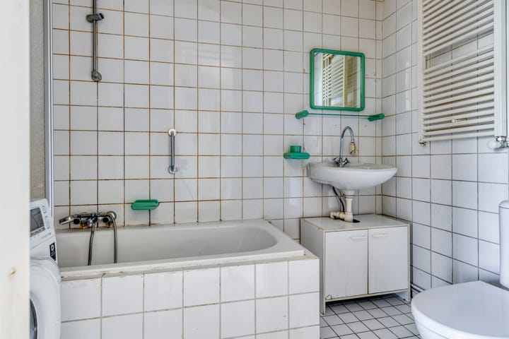 Foto 17 van Driedistel 11