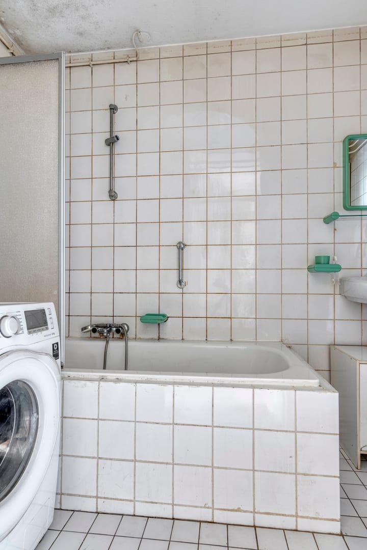 Foto 18 van Driedistel 11