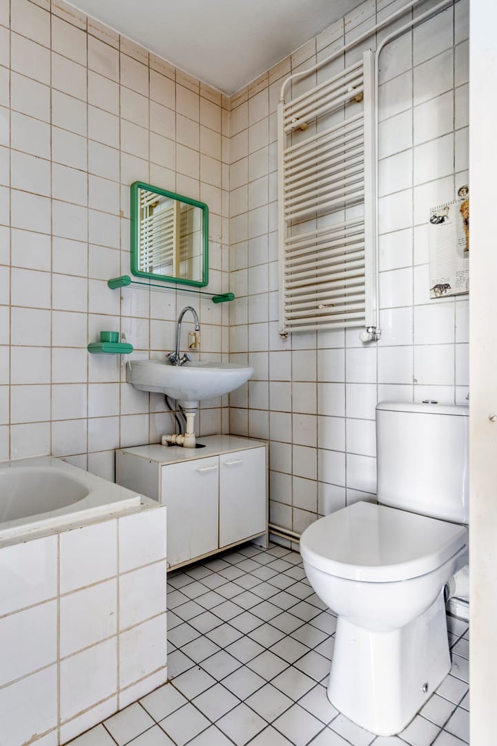 Foto 19 van Driedistel 11