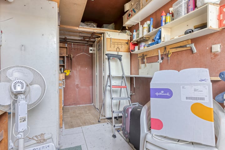 Foto 20 van Driedistel 11