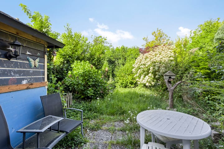 Foto 21 van Driedistel 11