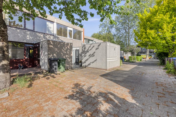 Foto 23 van Driedistel 11