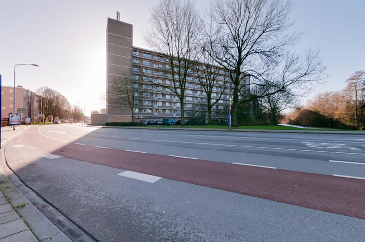 Loudonstraat 323