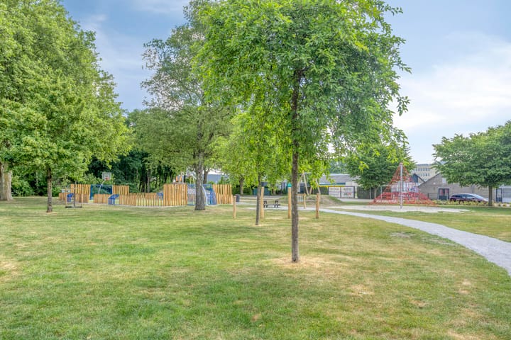 Foto 23 van Dasstraat 6