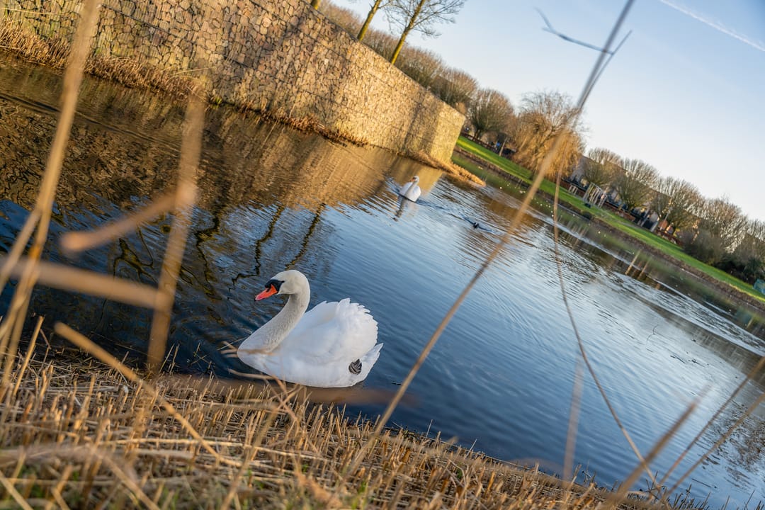 Photo 62 of Marshalllaan 30