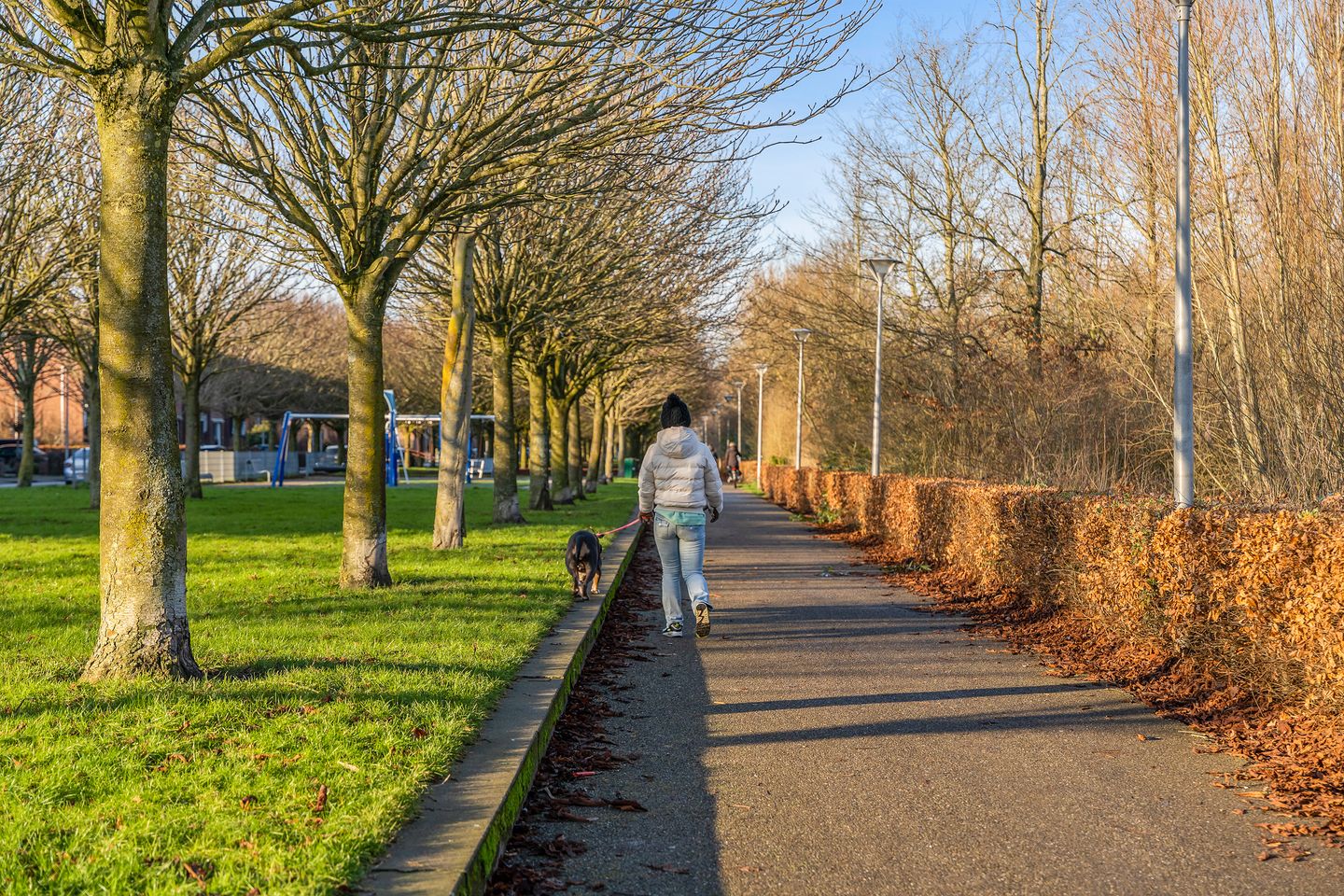 Photo 64 of Marshalllaan 30