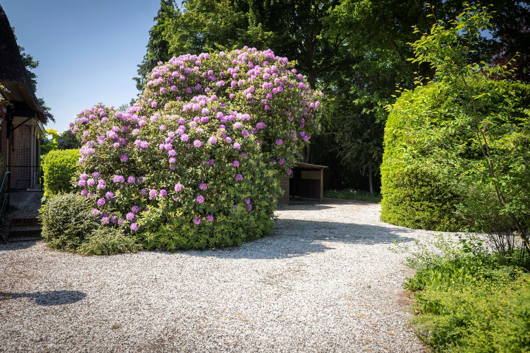 Photo 38 of Deventerweg 69