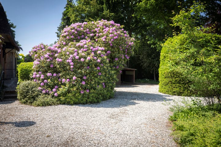 Foto 38 van Deventerweg 69