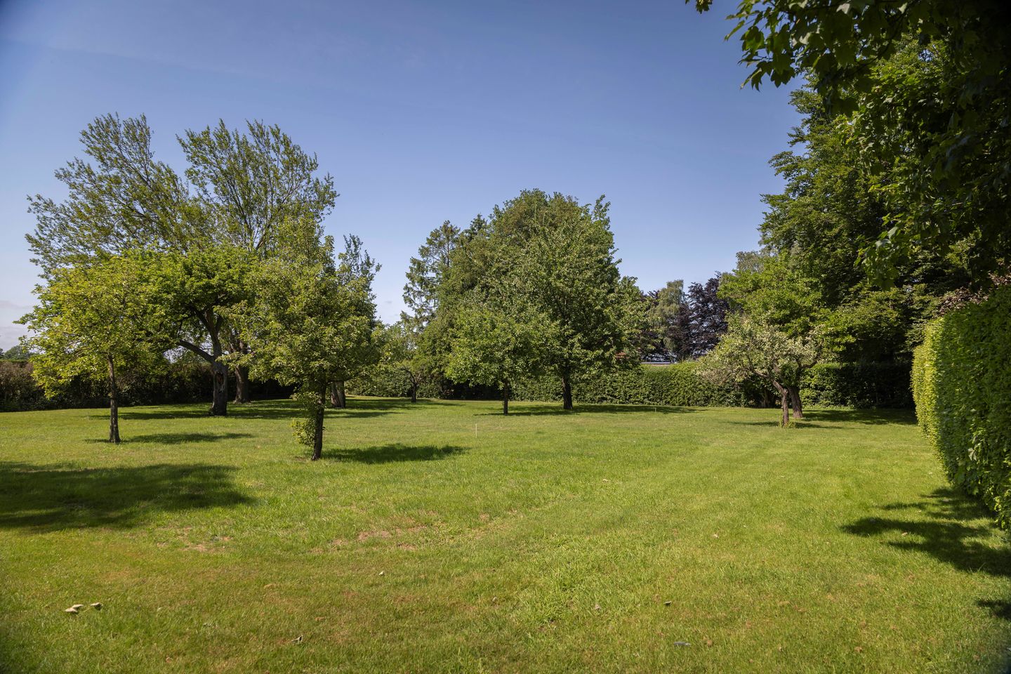 Photo 44 of Deventerweg 69