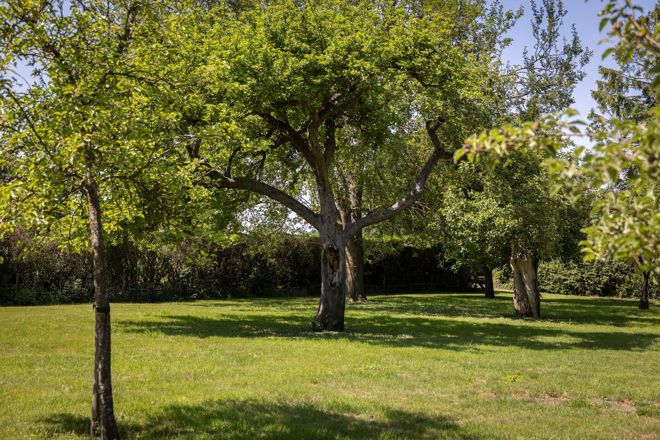 Photo 45 of Deventerweg 69