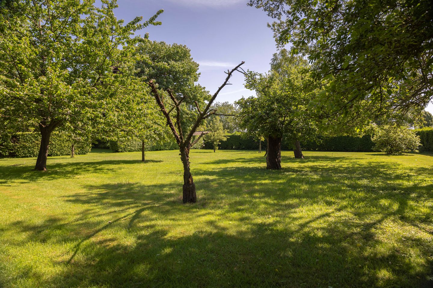 Photo 49 of Deventerweg 69