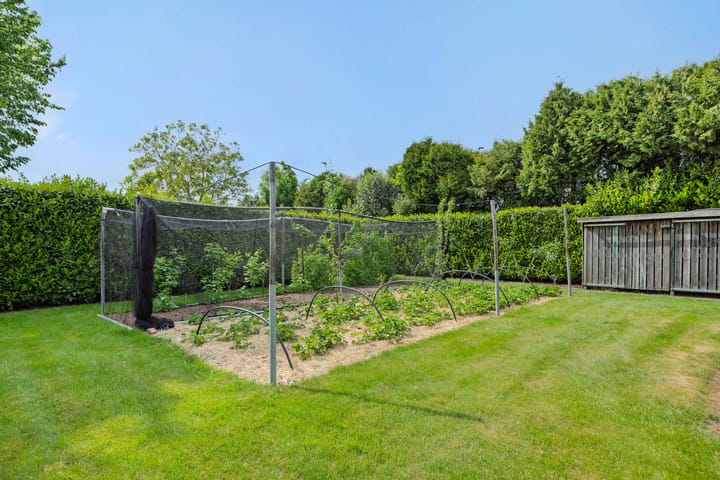 Foto 15 van Van Coothstraat 5