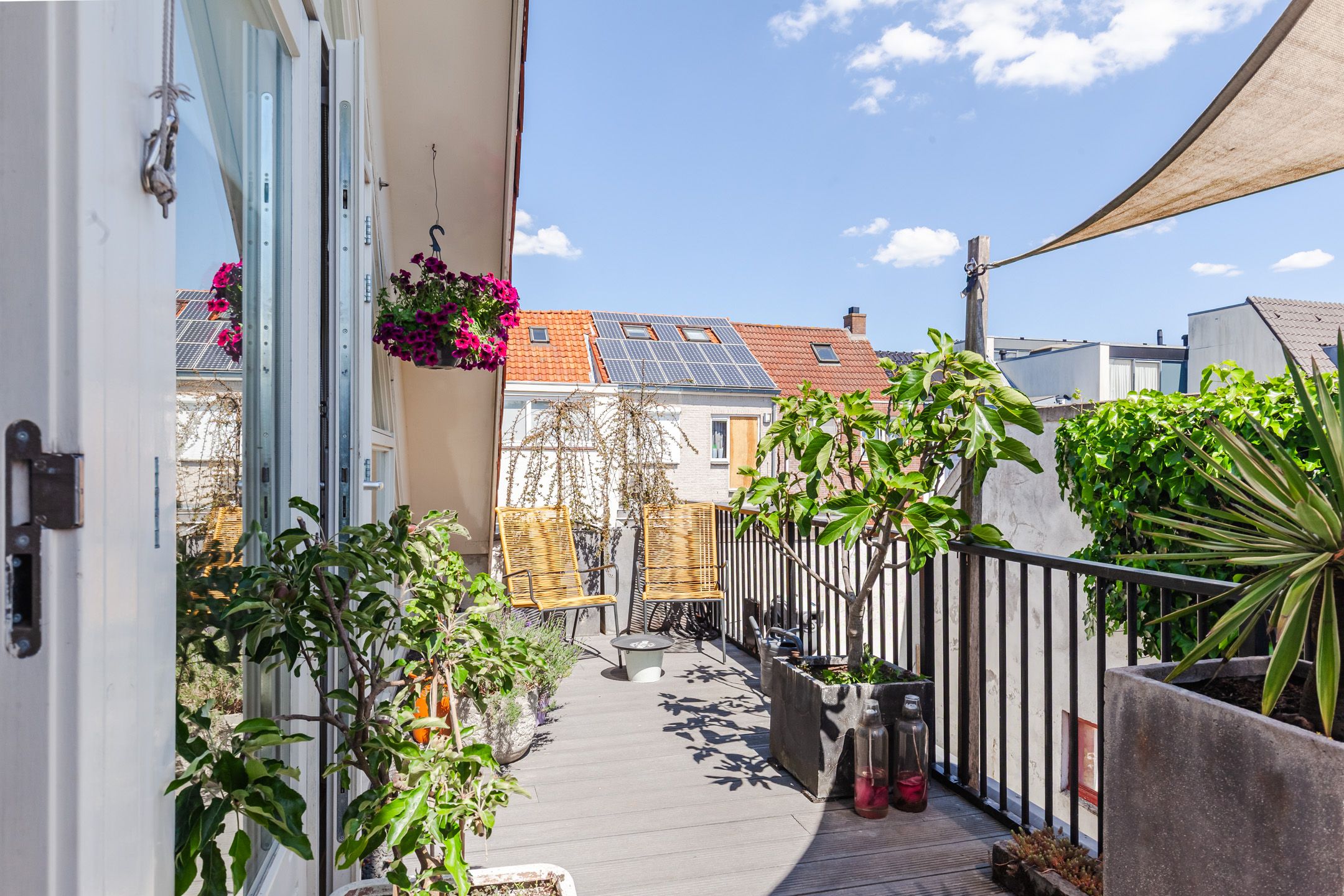 Foto 63 van Koepeldwarsstraat 17