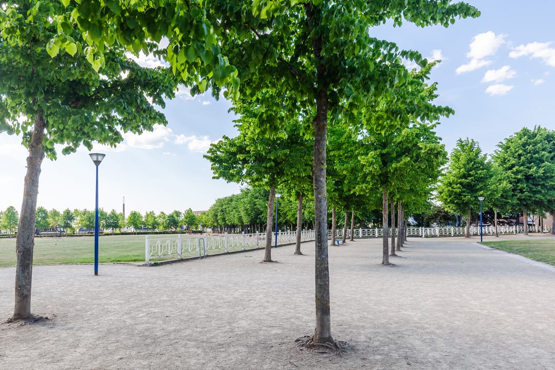 Foto 71 van Koepeldwarsstraat 17