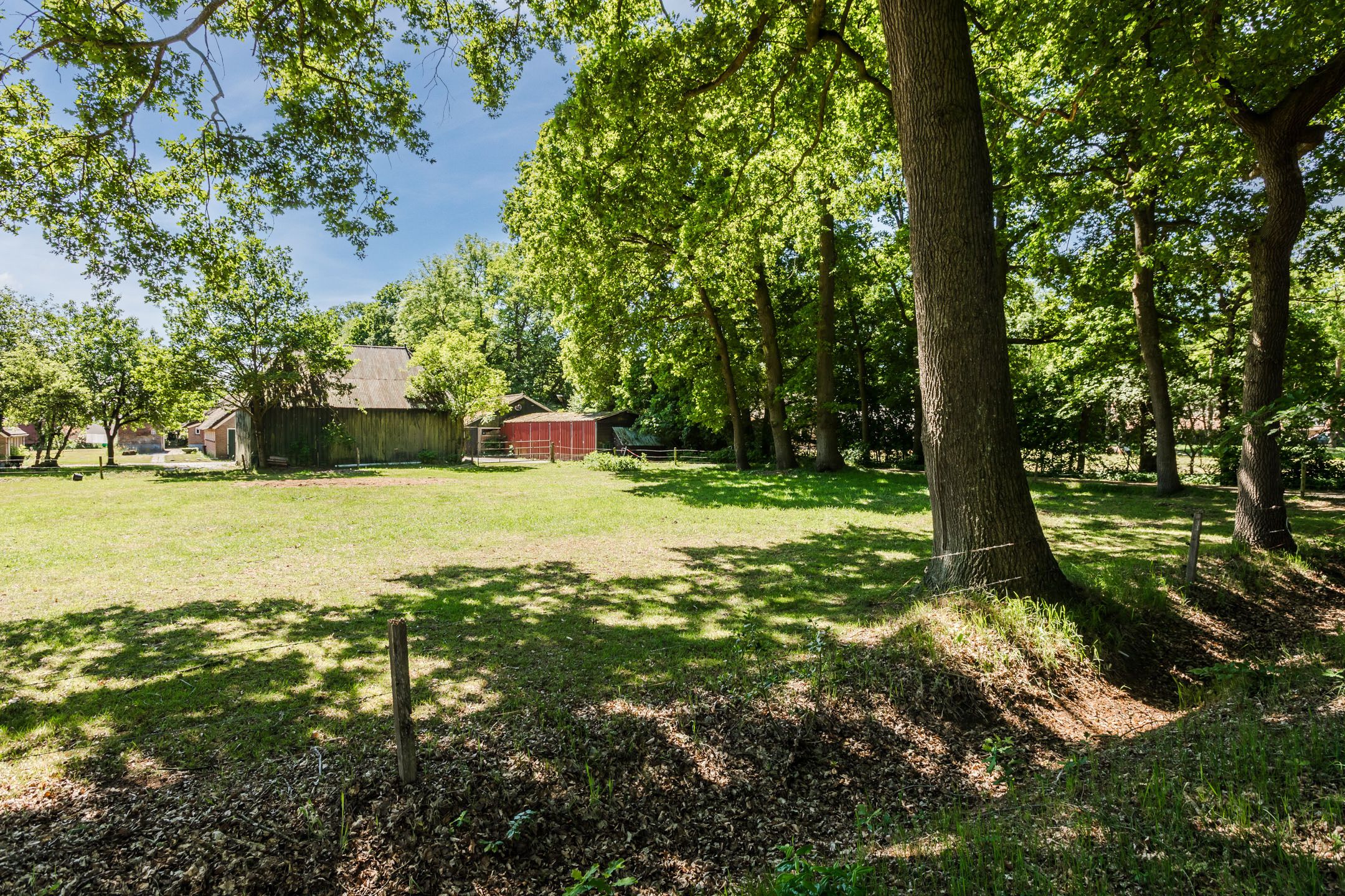 Foto 6 van Ruitenveen 15