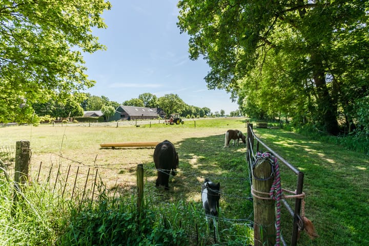 Foto 31 van Ruitenveen 15