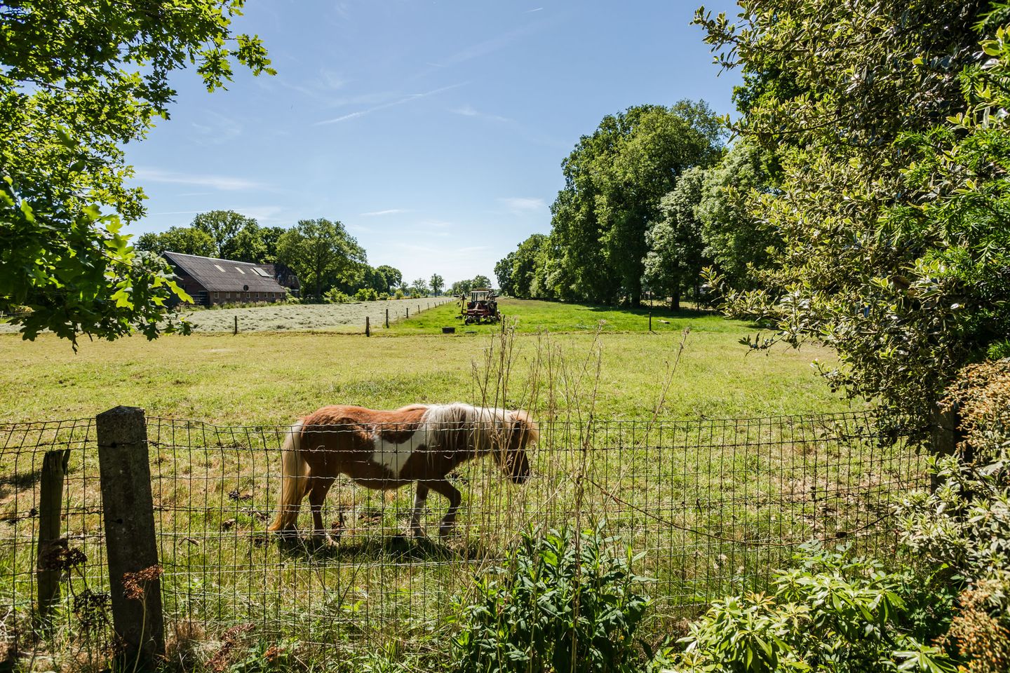 Foto 34 van Ruitenveen 15