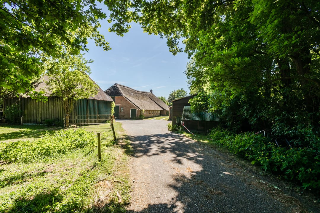 Foto 38 van Ruitenveen 15