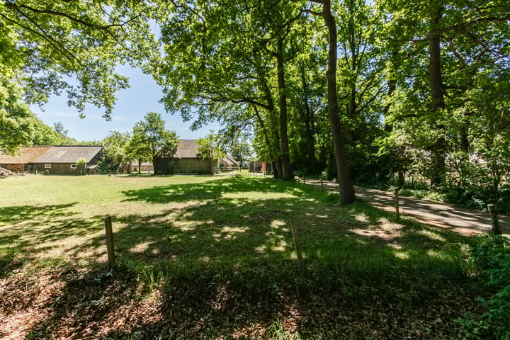 Foto 39 van Ruitenveen 15