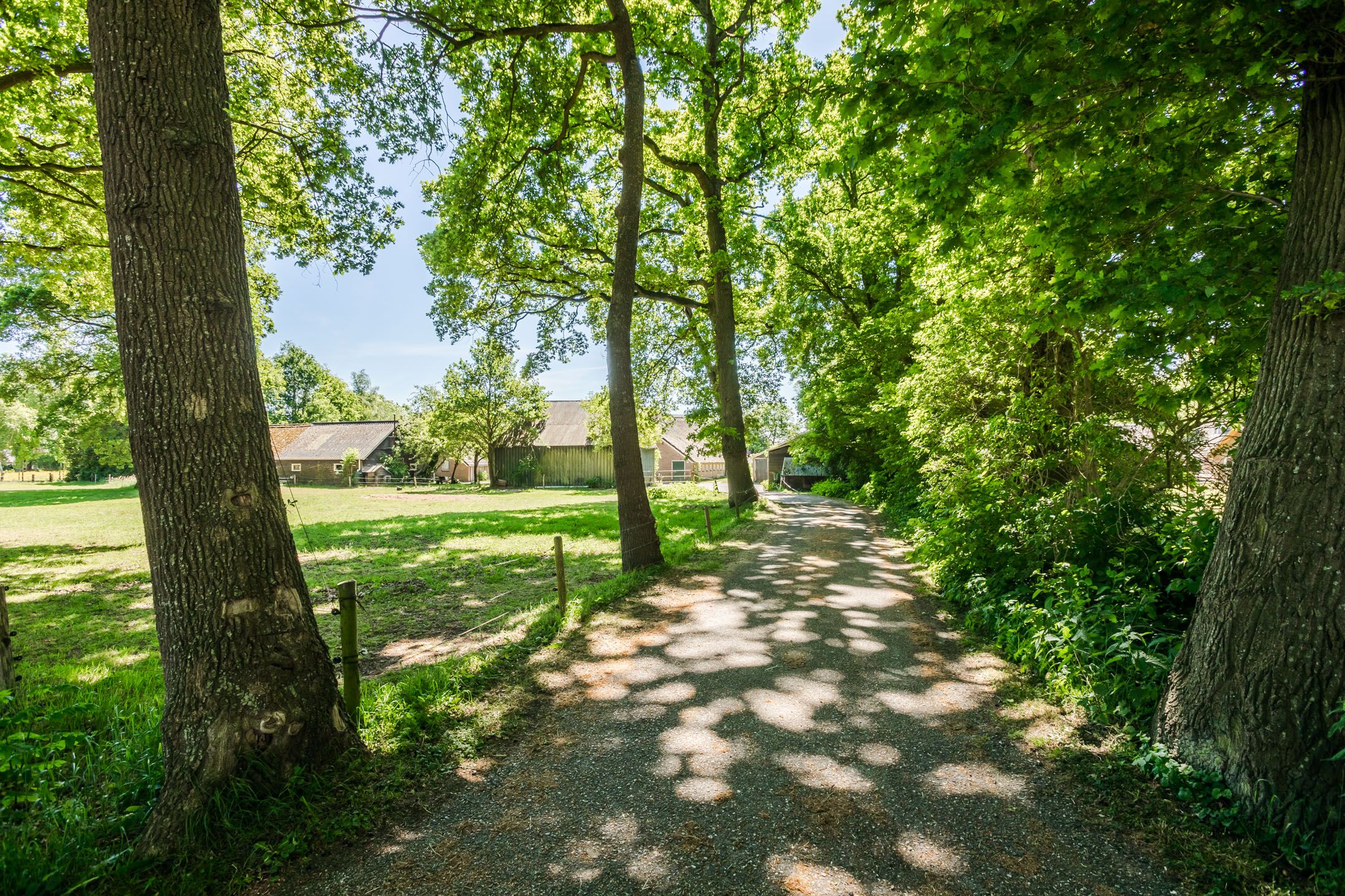 Foto 45 van Ruitenveen 15