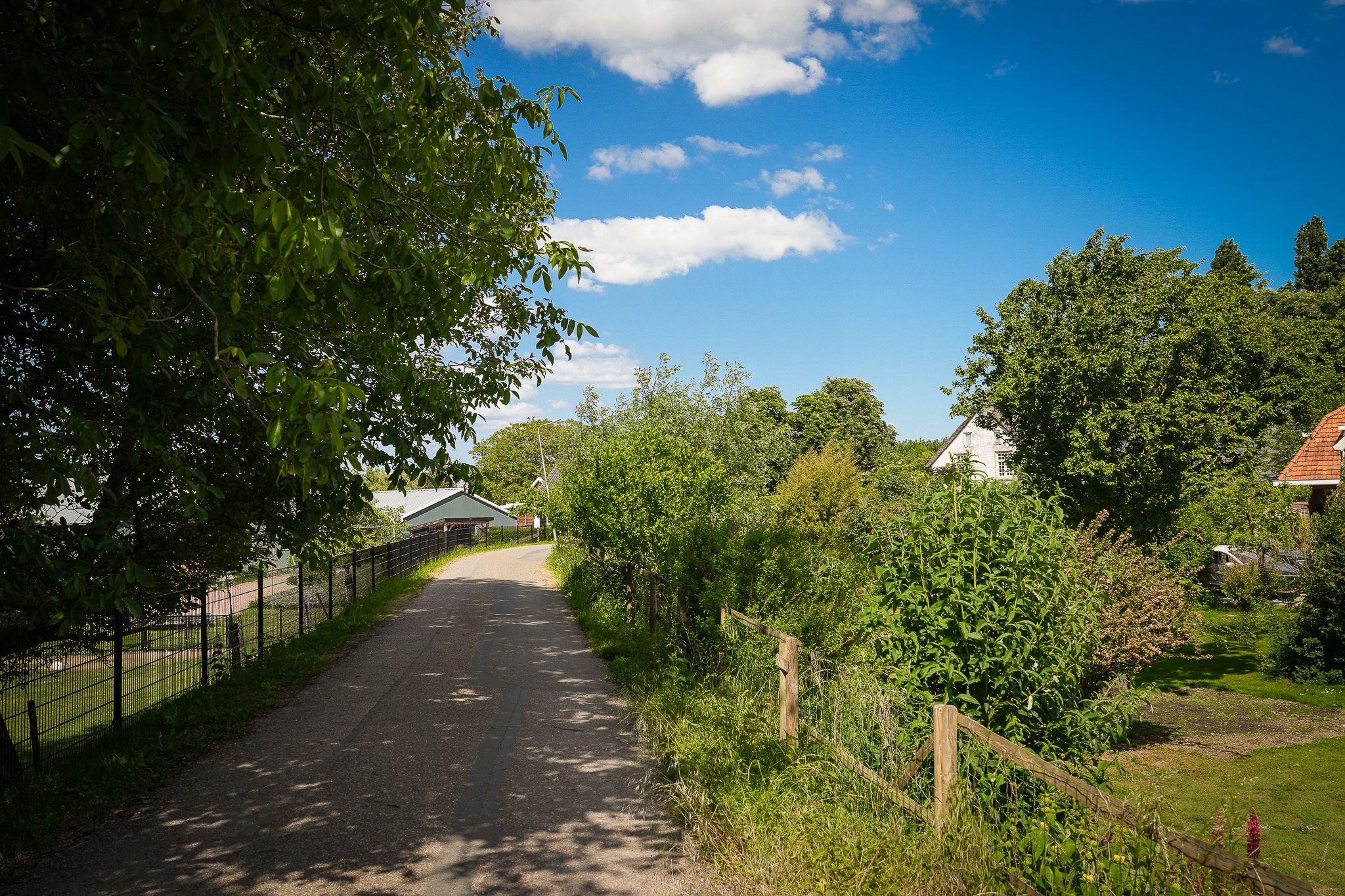 Foto 33 van Lingedijk 9