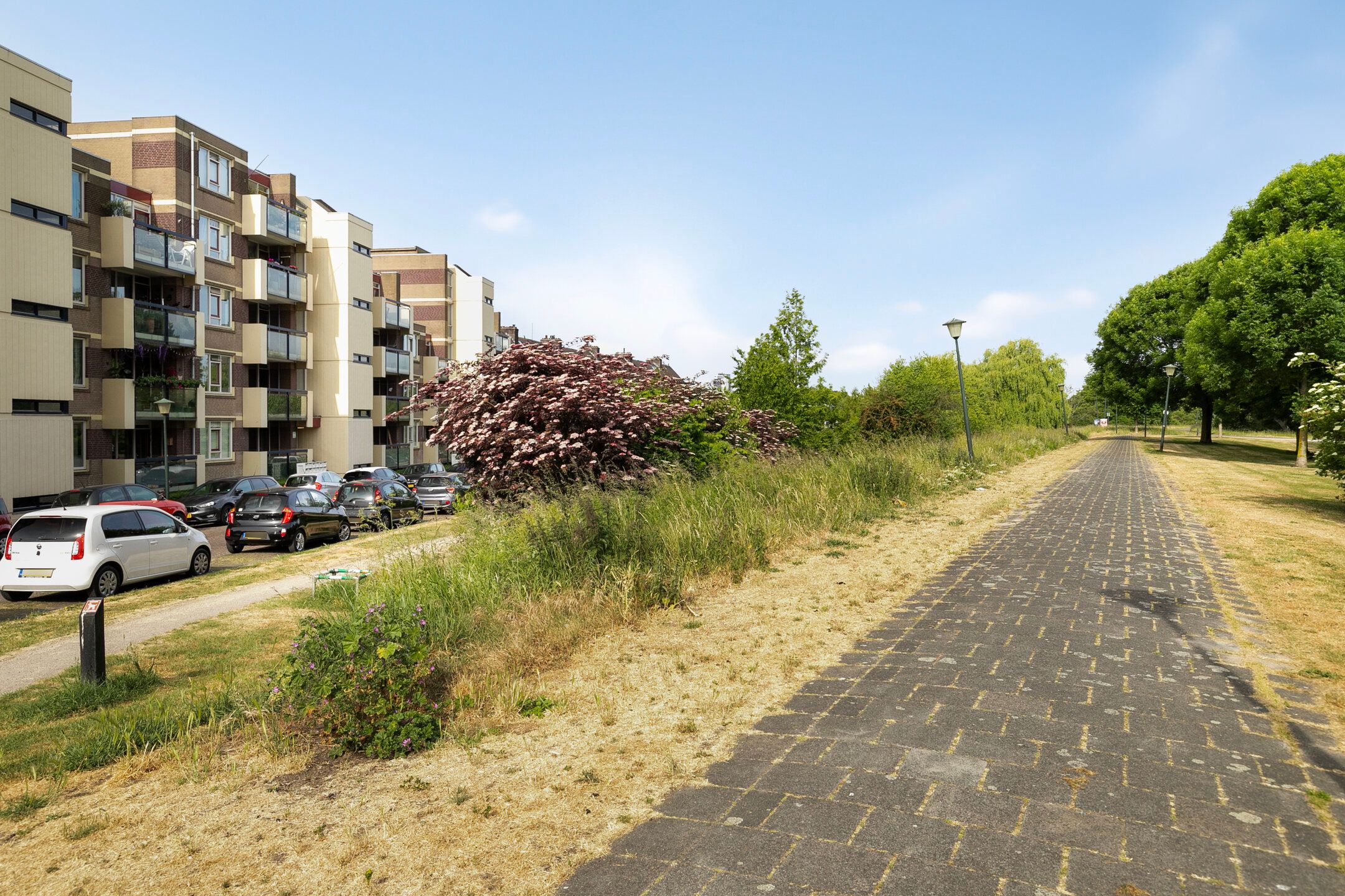 Photo 18 of Parkweg 156