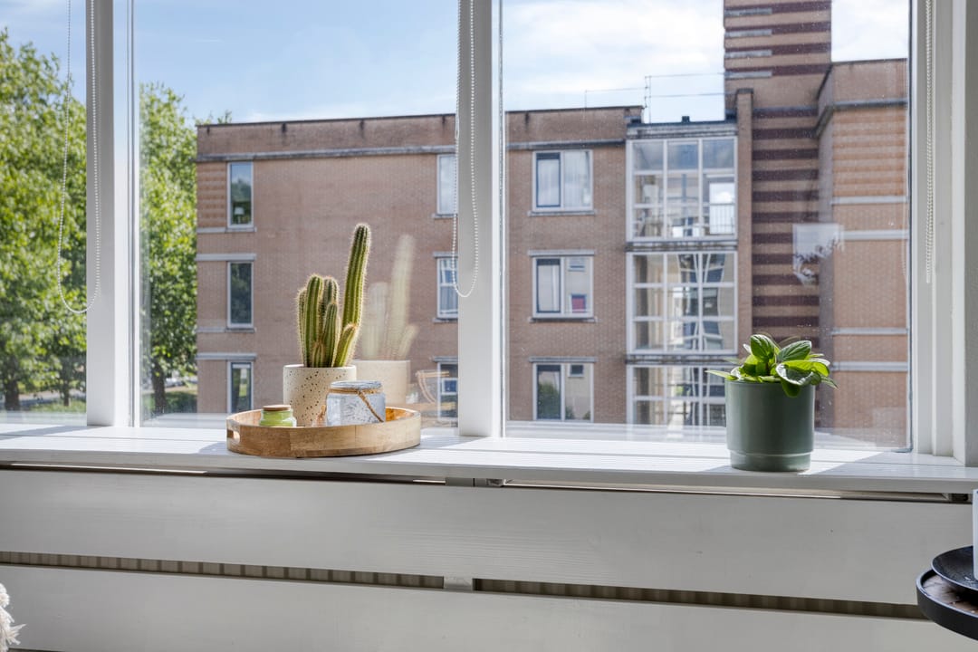 Foto 7 van Spanjesingel 86