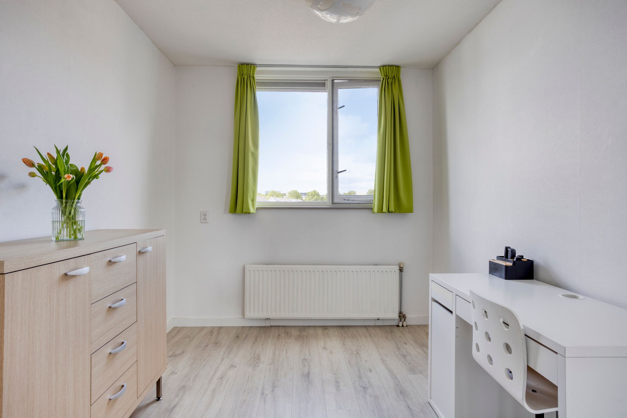 Foto 15 van Spanjesingel 86