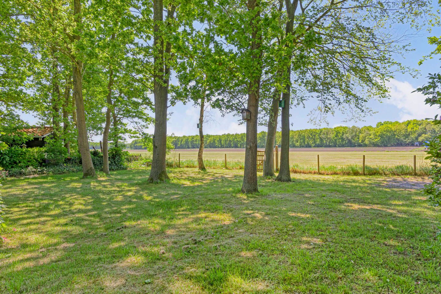 Foto 35 van Tronderweg 3