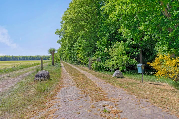 Foto 45 van Tronderweg 3