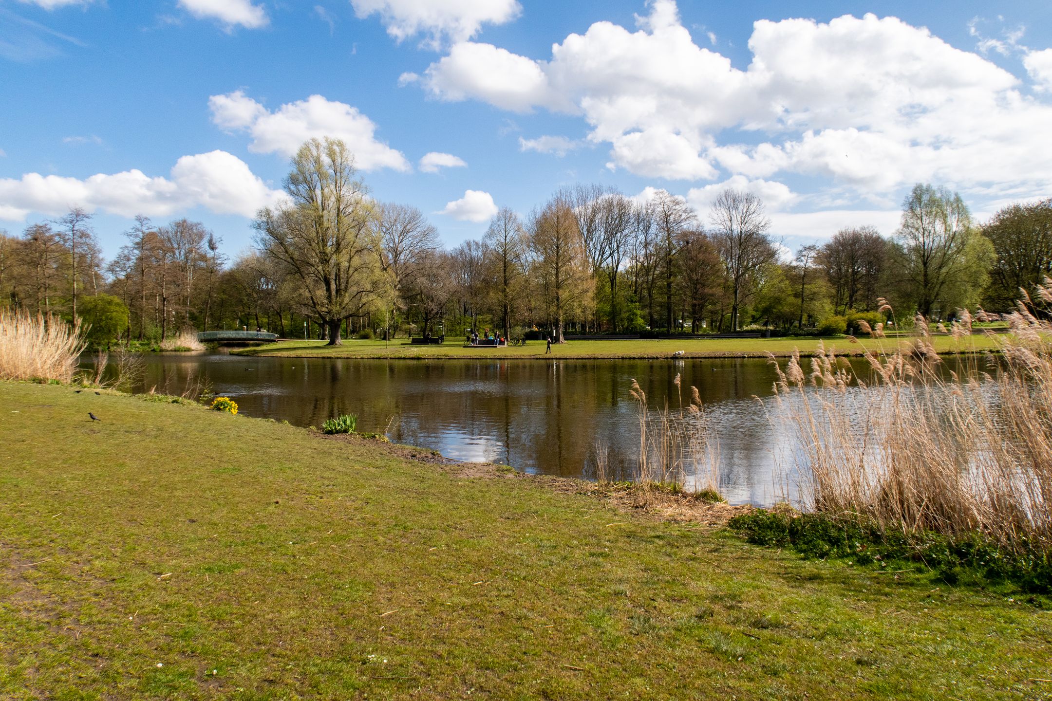 Foto 15 van Ariana Nozemanstraat 15-3