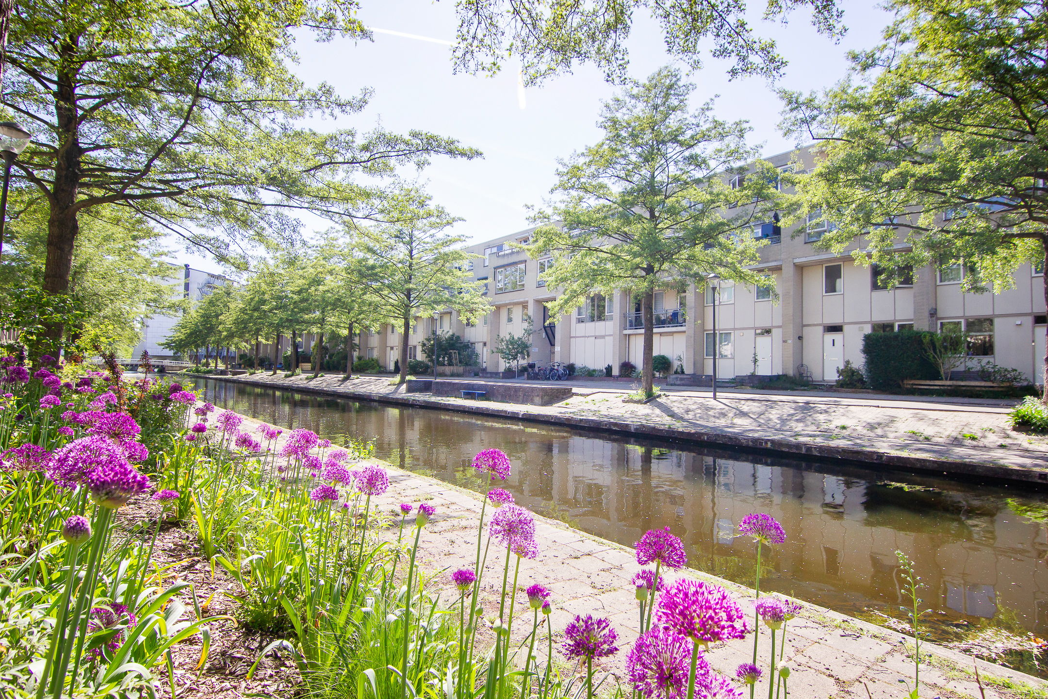 Photo 33 of Charta 77-Vaart 54