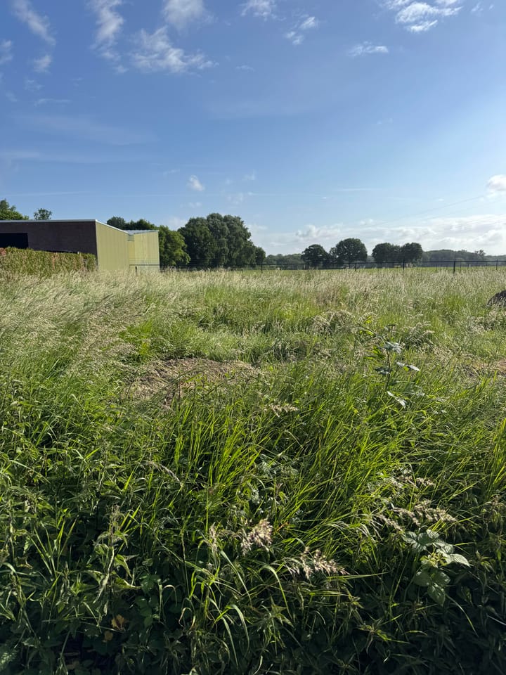 Foto 3 van Arnulfstraat 40