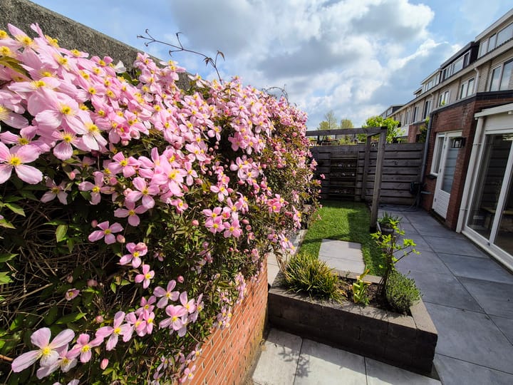 Foto 14 van Lorentzschans 23