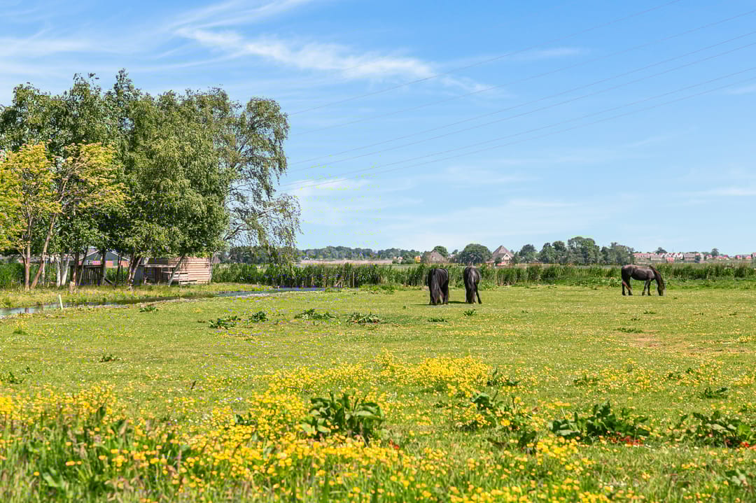 Foto 58 van Dorpsstraat 53-B