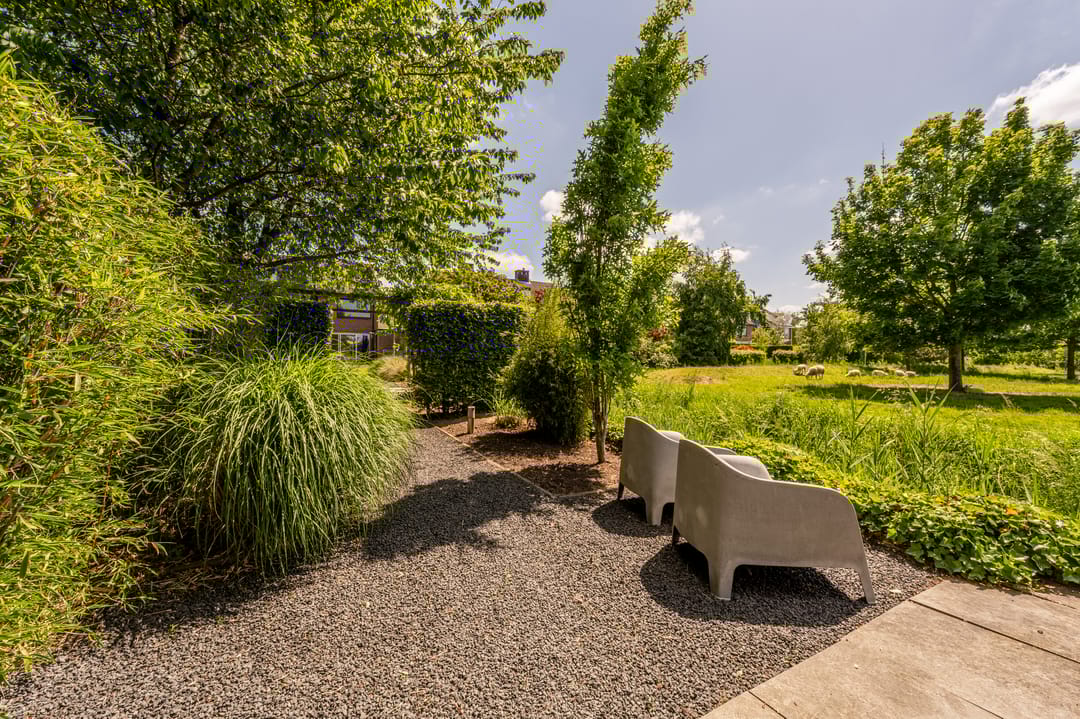 Foto 52 van Zeggegors 12