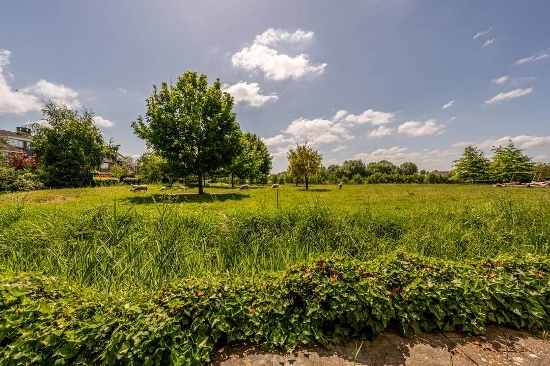 Foto 53 van Zeggegors 12