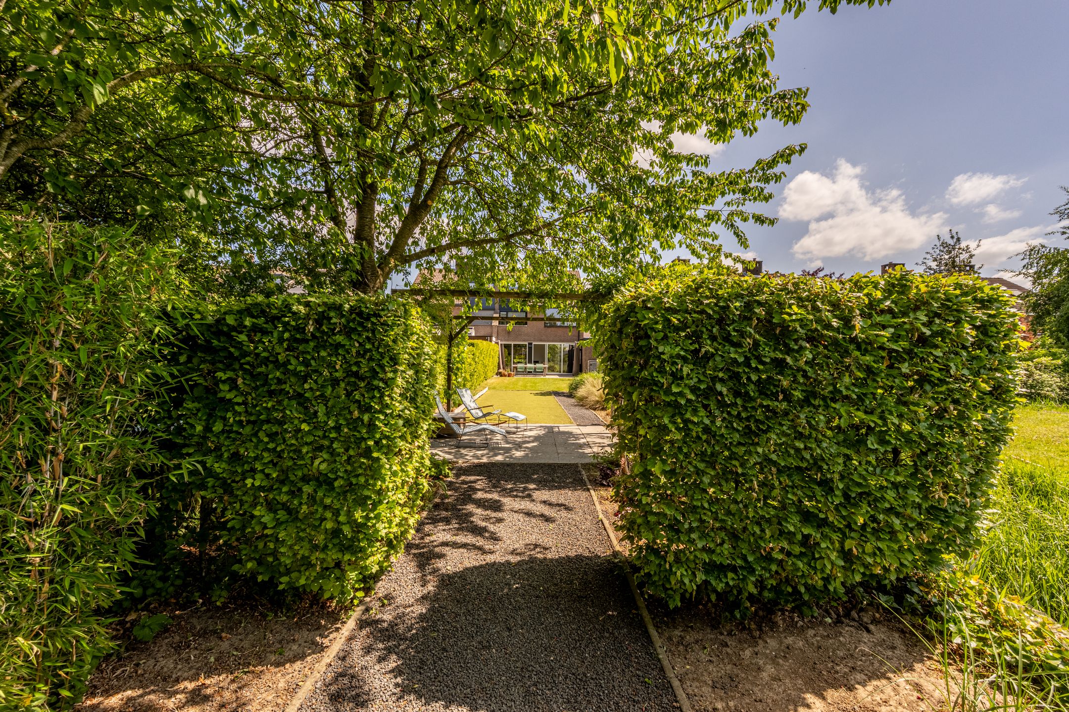 Foto 54 van Zeggegors 12