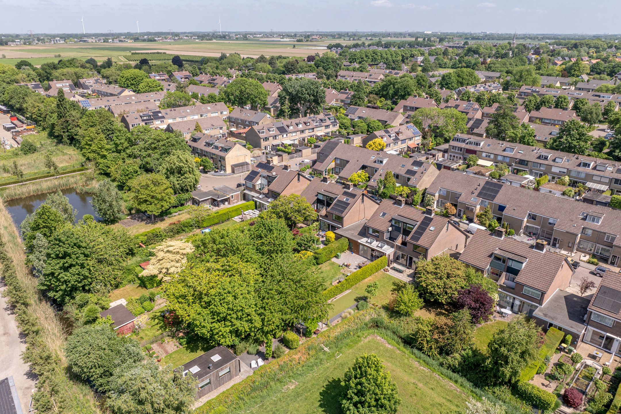 Foto 60 van Zeggegors 12