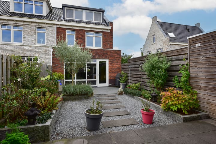 Foto 2 van Buizerd 2