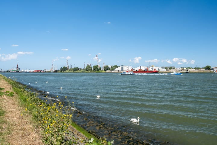 Foto 49 van Pastoriedijk 230