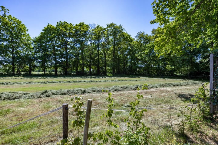 Foto 57 van Ontginningsweg 7