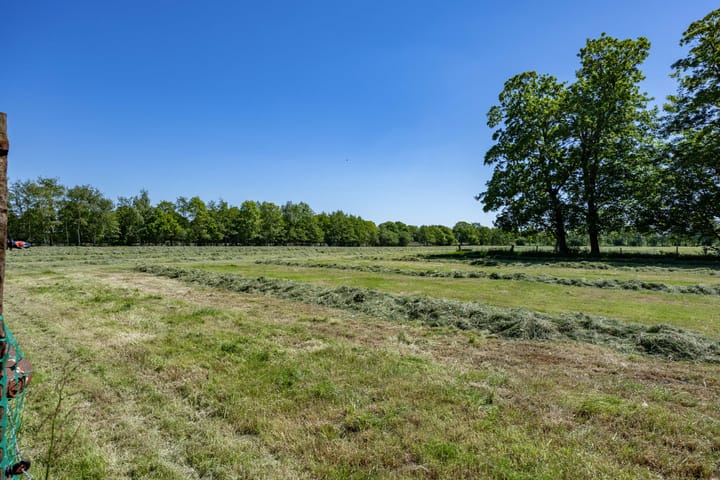 Foto 58 van Ontginningsweg 7